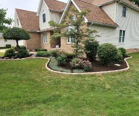 Garden bed with Japanese maple and stone border