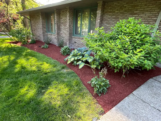 Red mulch bed with hostas and shrubs along a brick ranch home